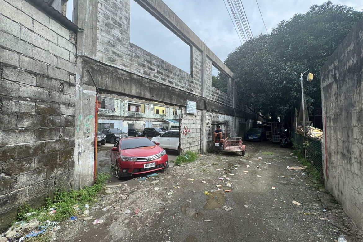 Land for Sale in Apolonio Samson, Quezon City, Metro Manila near LRT-1 Balintawak – photo 3