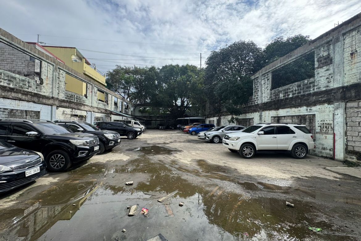 Land for Sale in Apolonio Samson, Quezon City, Metro Manila near LRT-1 Balintawak – photo 7