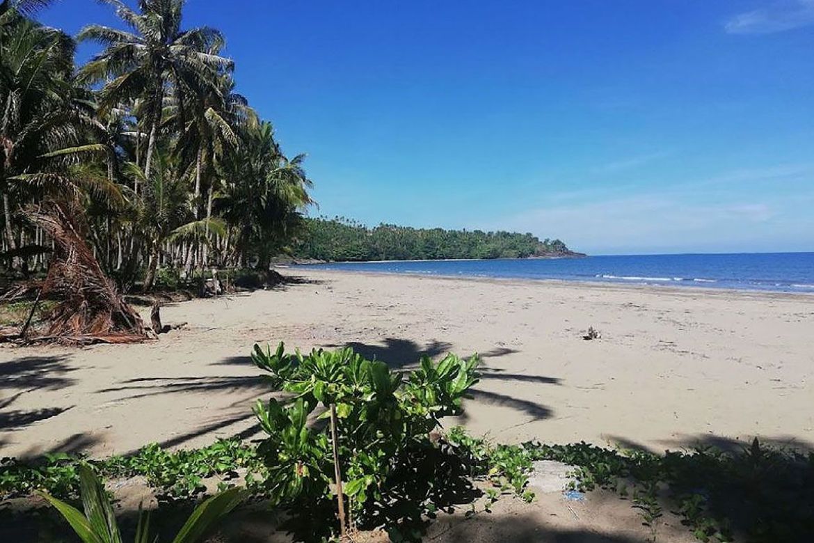Land for Sale in Aporawan, Aborlan, Palawan – photo 7