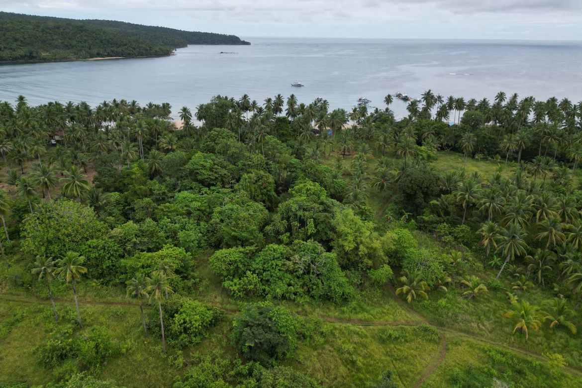 Land for Sale in Aporawan, Aborlan, Palawan