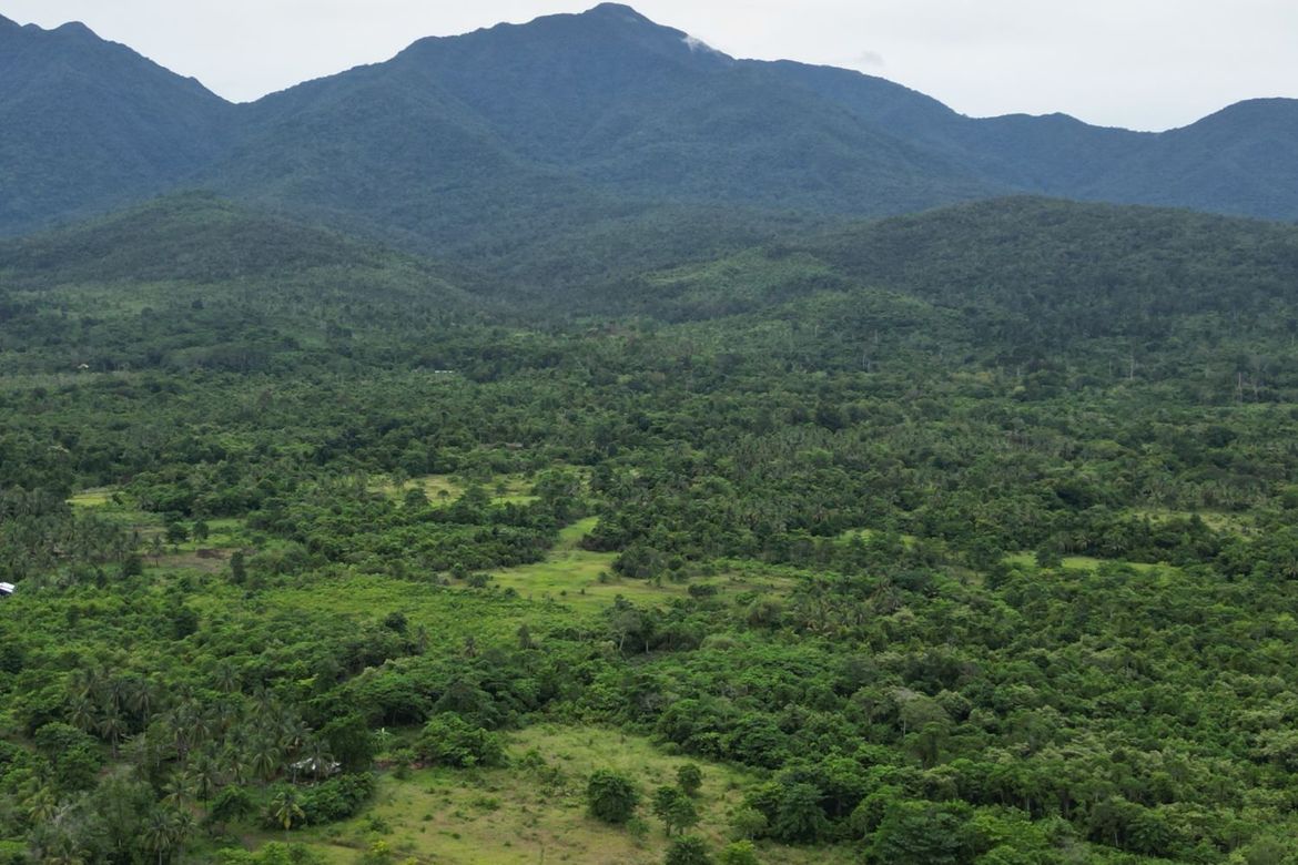 Land for Sale in Aporawan, Aborlan, Palawan – photo 8