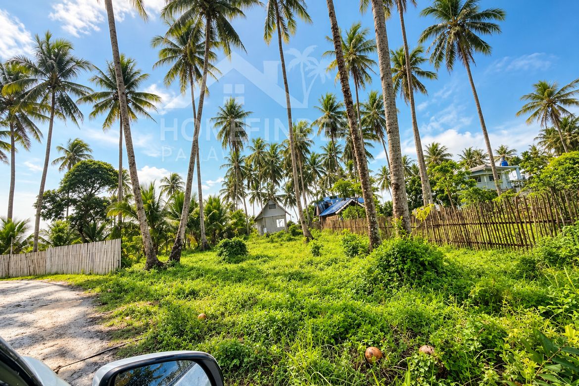Land for Sale in Aporawan, Aborlan, Palawan – photo 2