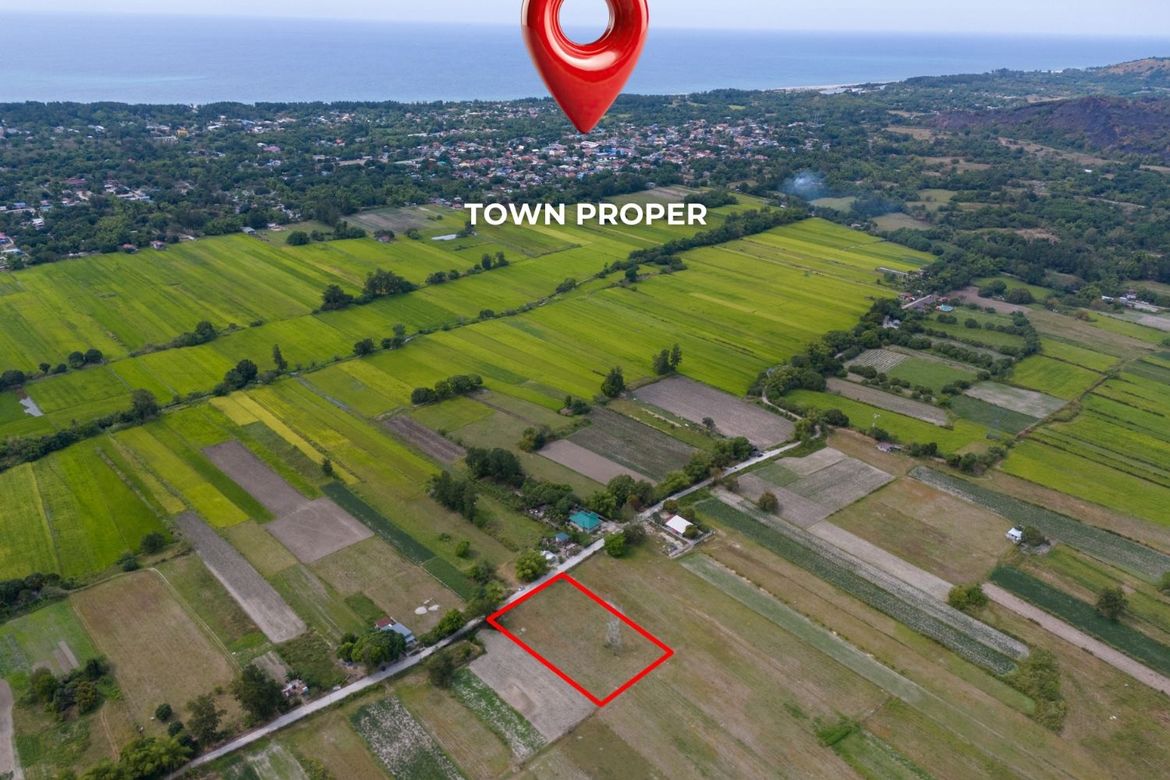 Land for Sale in Apostol, San Felipe, Zambales – photo 2