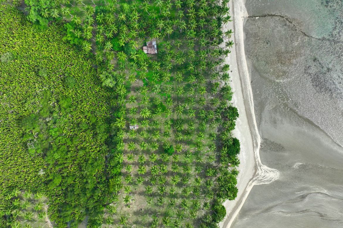 Land for Sale in Aramaywan, Quezon, Palawan – photo 4