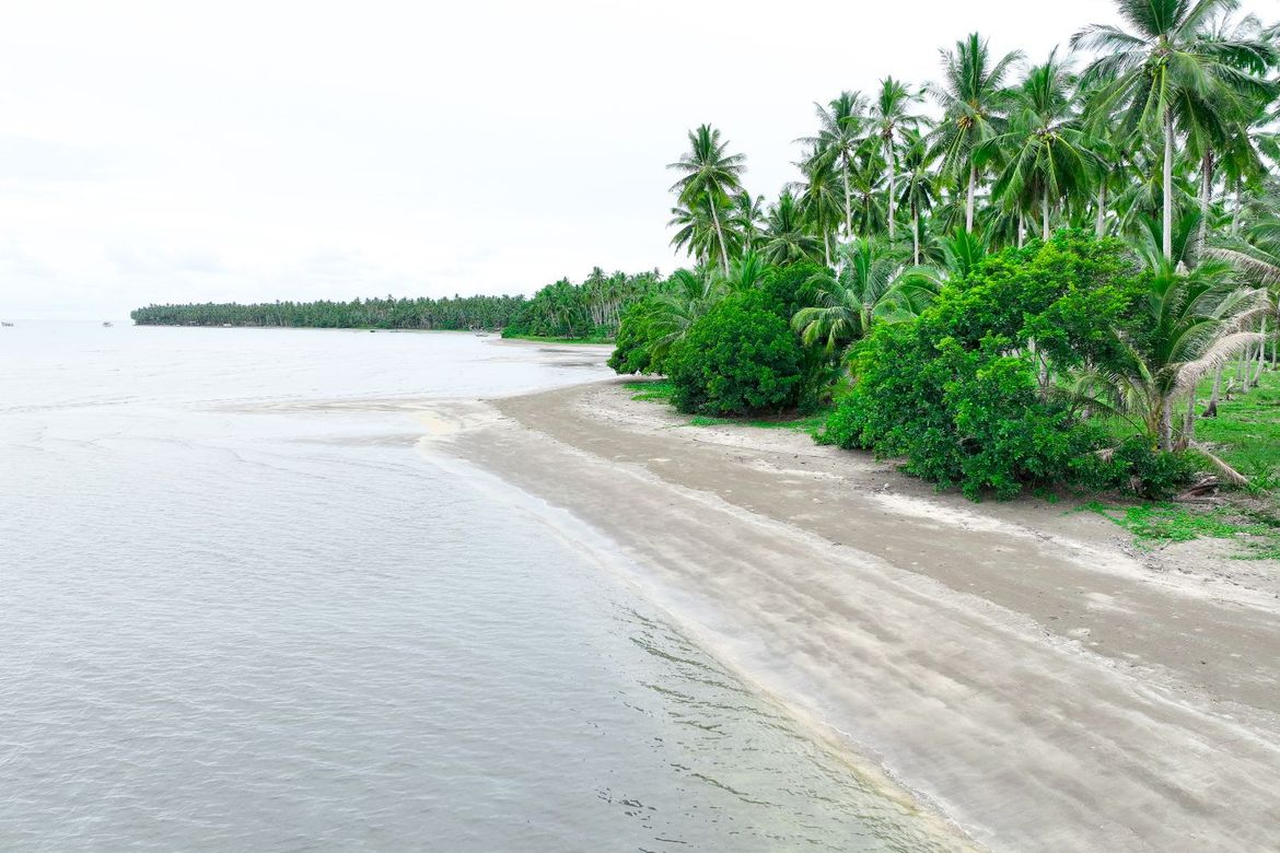 Land for Sale in Aramaywan, Quezon, Palawan – photo 5