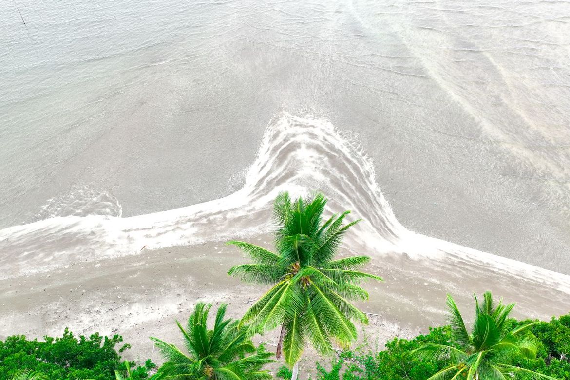 Land for Sale in Aramaywan, Quezon, Palawan – photo 6