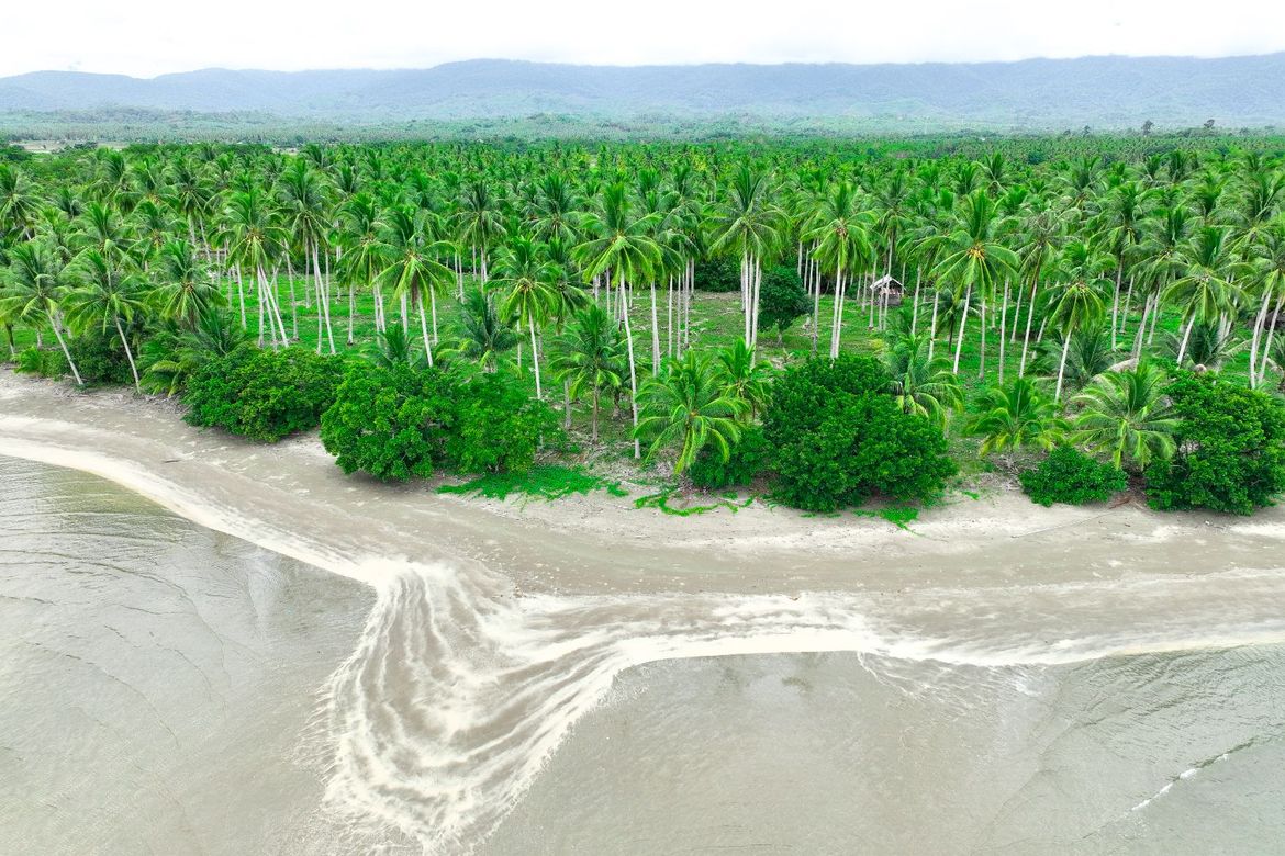 Land for Sale in Aramaywan, Quezon, Palawan – photo 8