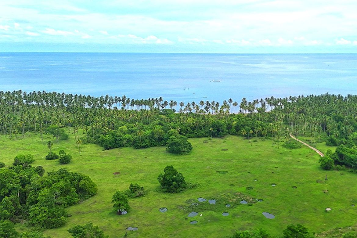 Land for Sale in Aramaywan, Quezon, Palawan – photo 3