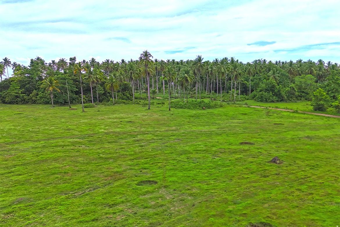 Land for Sale in Aramaywan, Quezon, Palawan – photo 4