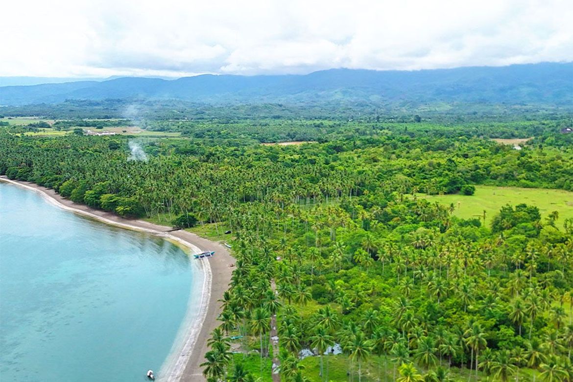 Land for Sale in Aramaywan, Quezon, Palawan – photo 5