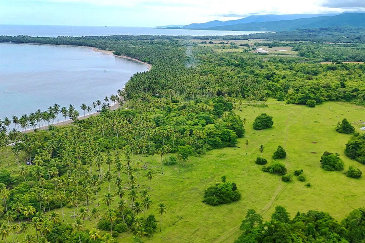 Land for Sale in Aramaywan, Quezon, Palawan – photo 7