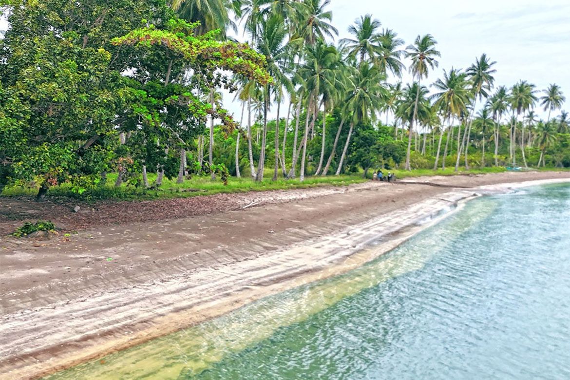 Land for Sale in Aramaywan, Quezon, Palawan – photo 8