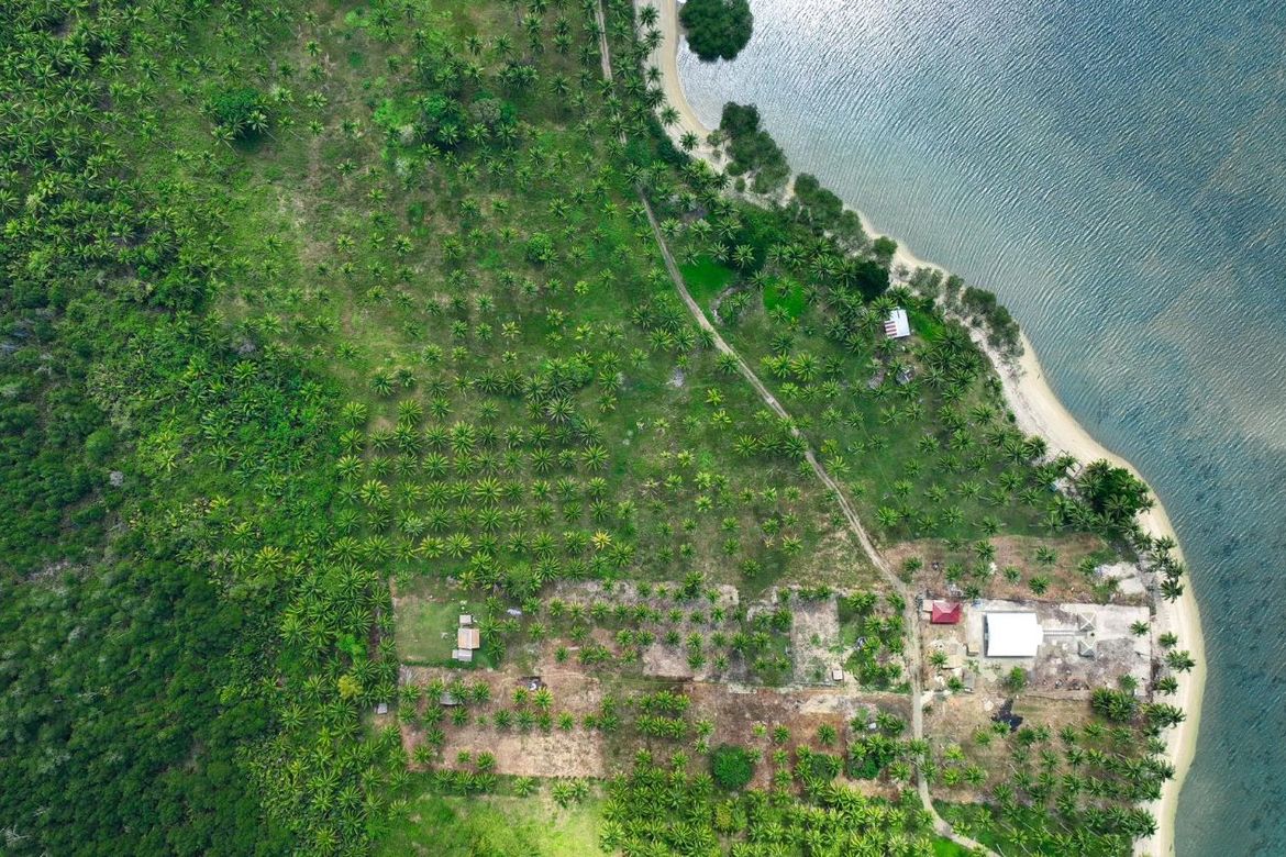 Land for Sale in Aramaywan, Quezon, Palawan