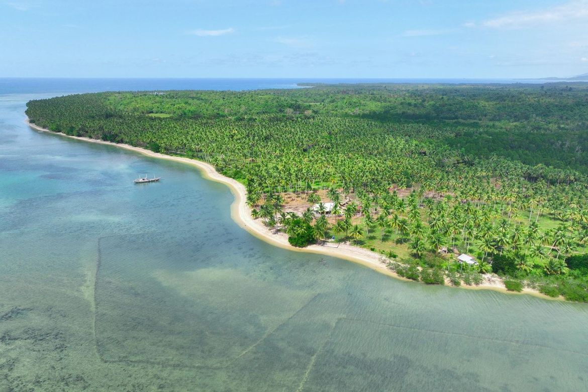 Land for Sale in Aramaywan, Quezon, Palawan – photo 2
