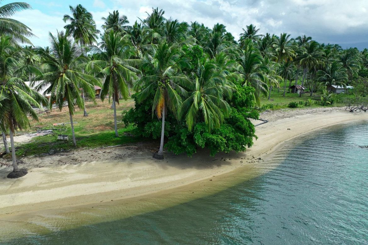 Land for Sale in Aramaywan, Quezon, Palawan – photo 3