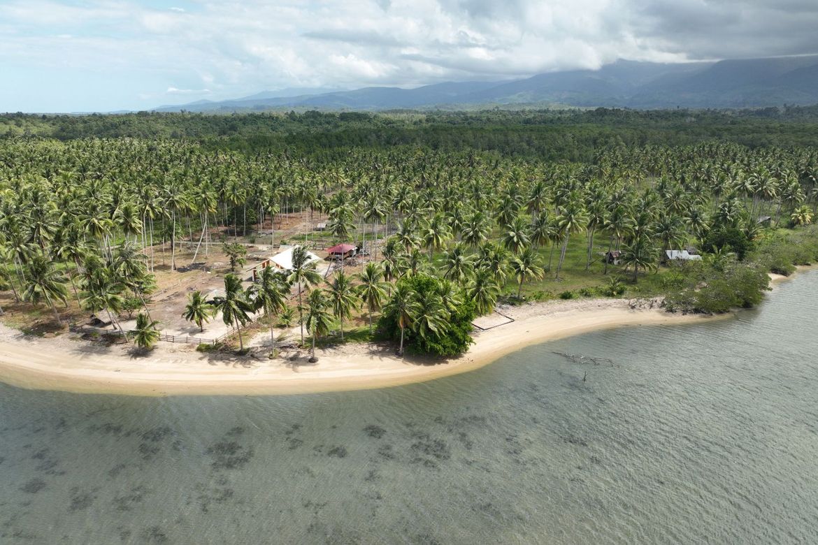 Land for Sale in Aramaywan, Quezon, Palawan – photo 7