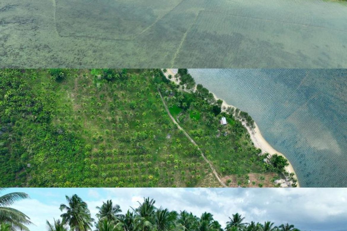 Land for Sale in Aramaywan, Quezon, Palawan – photo 8