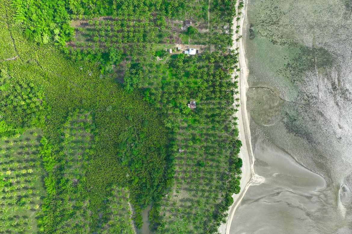 Land for Sale in Aramaywan, Quezon, Palawan – photo 2