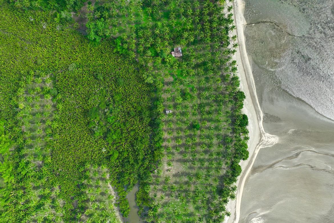 Land for Sale in Aramaywan, Quezon, Palawan – photo 4