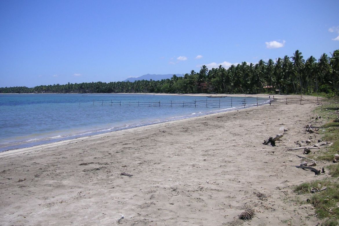 Land for Sale in Aramaywan, Quezon, Palawan – photo 3