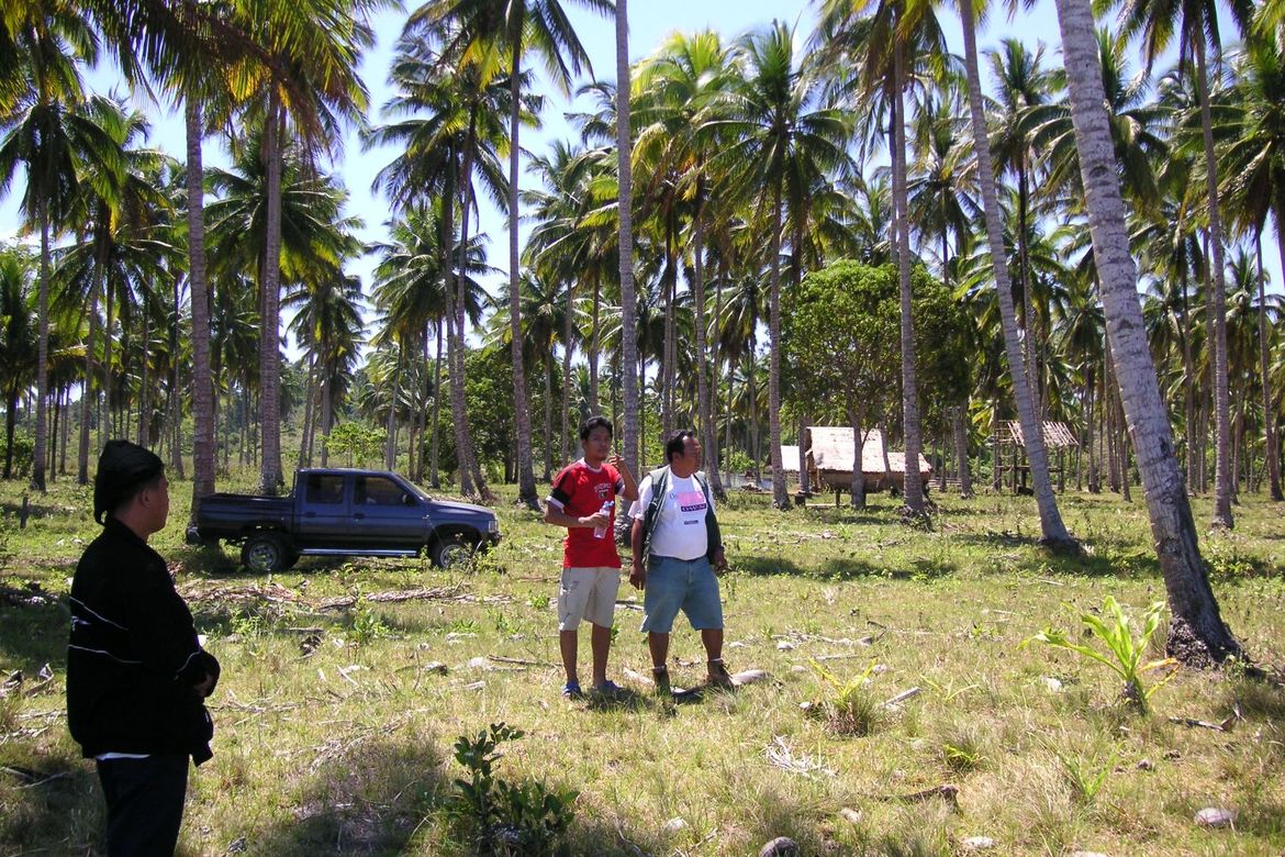 Land for Sale in Aramaywan, Quezon, Palawan – photo 4