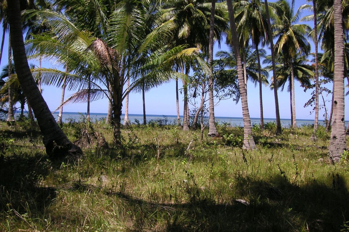 Land for Sale in Aramaywan, Quezon, Palawan – photo 8