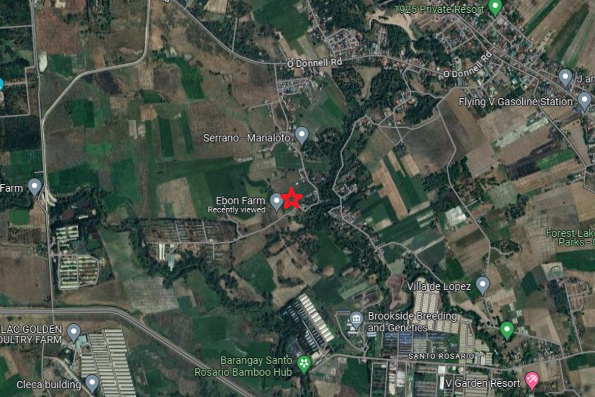 Land for Sale in Aranguren, Capas, Tarlac – photo 3