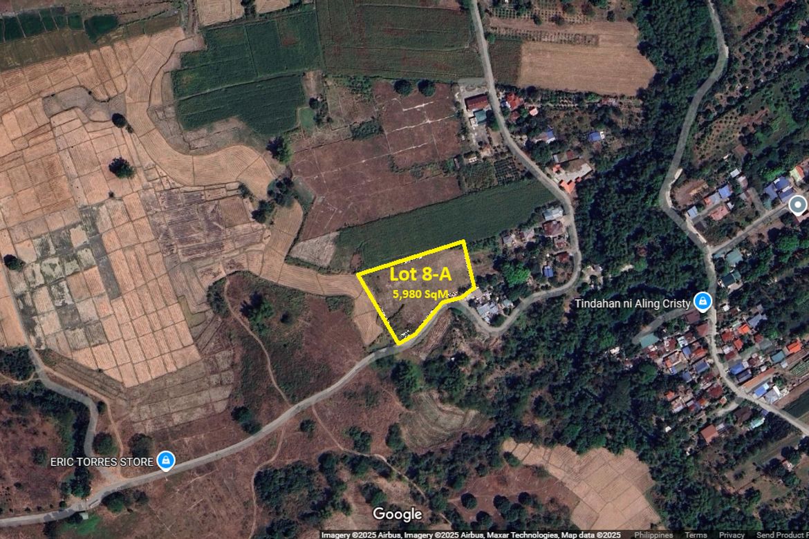 Land for Sale in Aranguren, Capas, Tarlac – photo 4