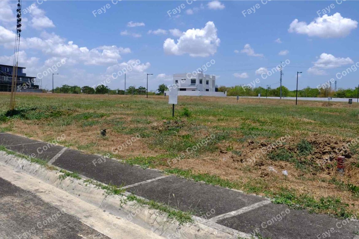 Land for Sale in Ardia Vermosa, Pasong Buaya I, Imus, Cavite – photo 5