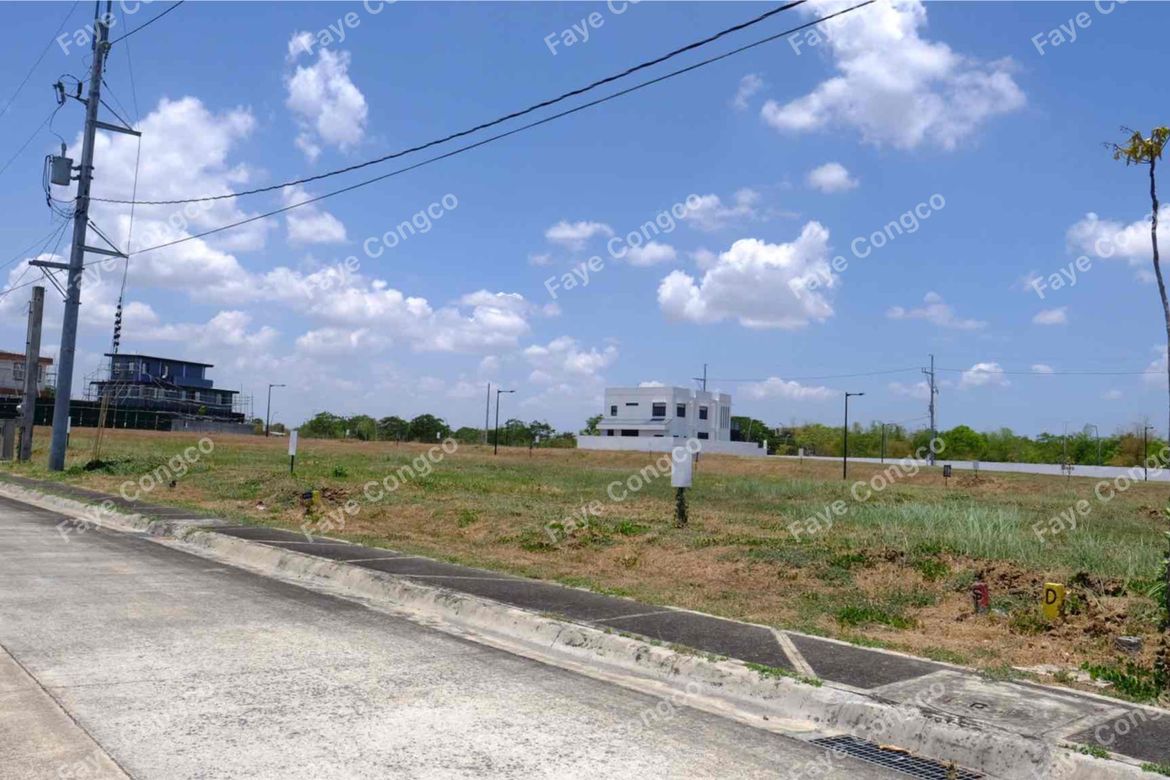 Land for Sale in Ardia Vermosa, Pasong Buaya I, Imus, Cavite – photo 8