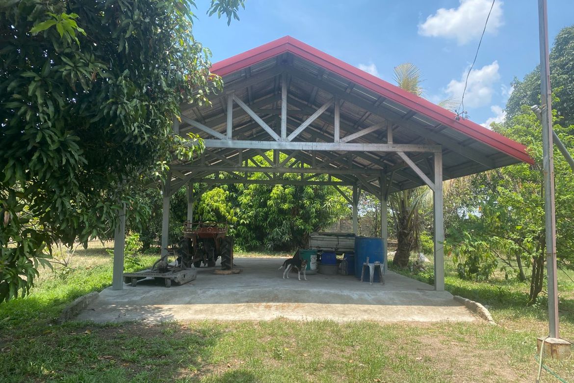 Land for Sale in Arenas, Arayat, Pampanga – photo 4