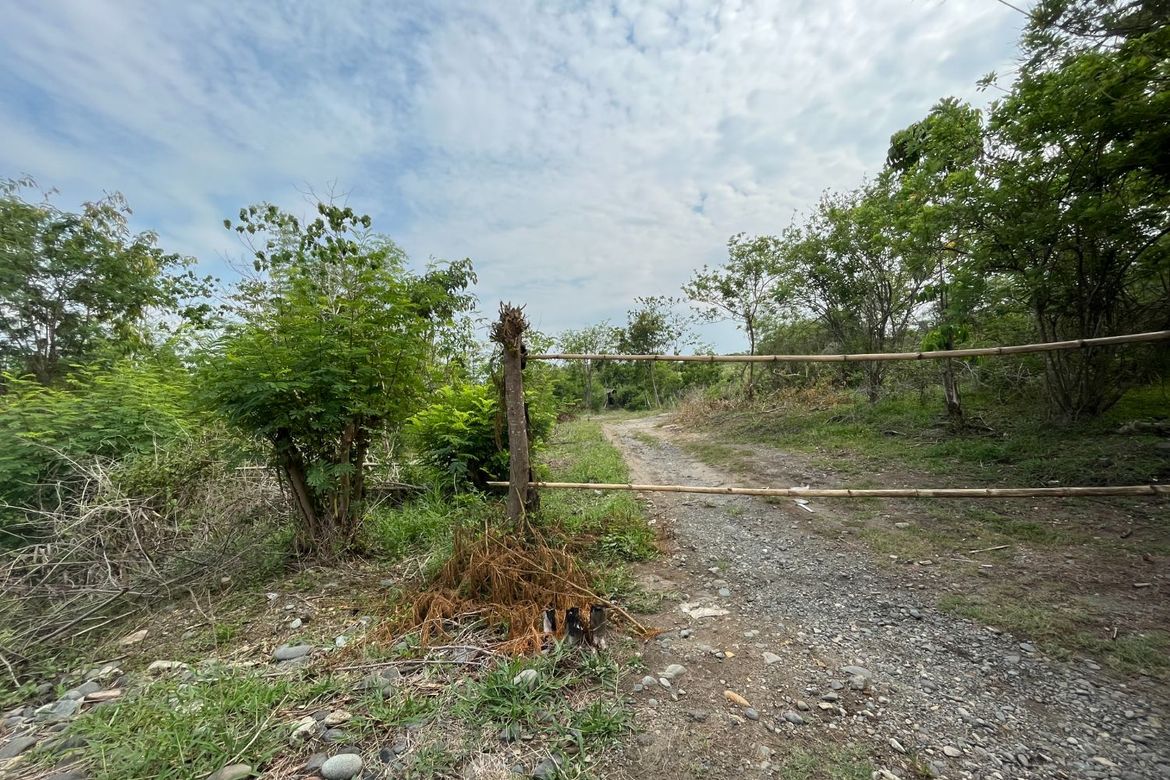 Land for Sale in Armenia, Tarlac, Tarlac – photo 4