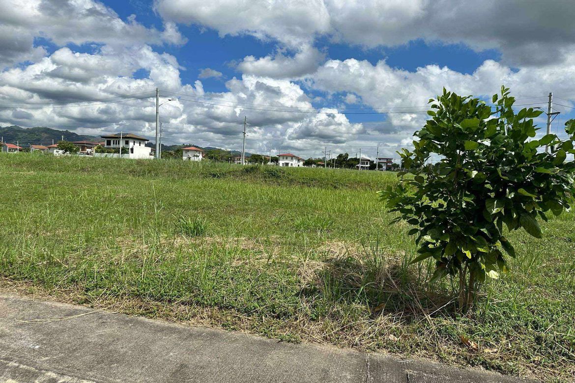 Land for Sale in Armenia, Tarlac, Tarlac – photo 3
