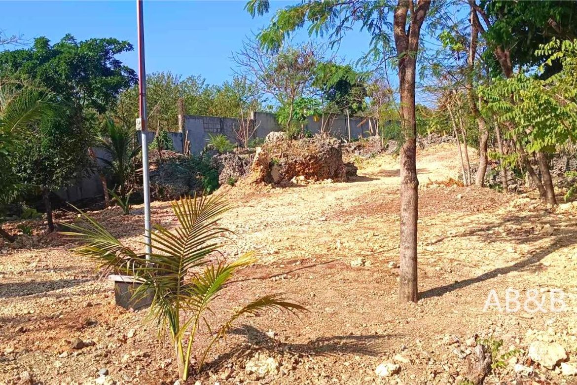 Land for Sale in Arnedo, Bolinao, Pangasinan – photo 3