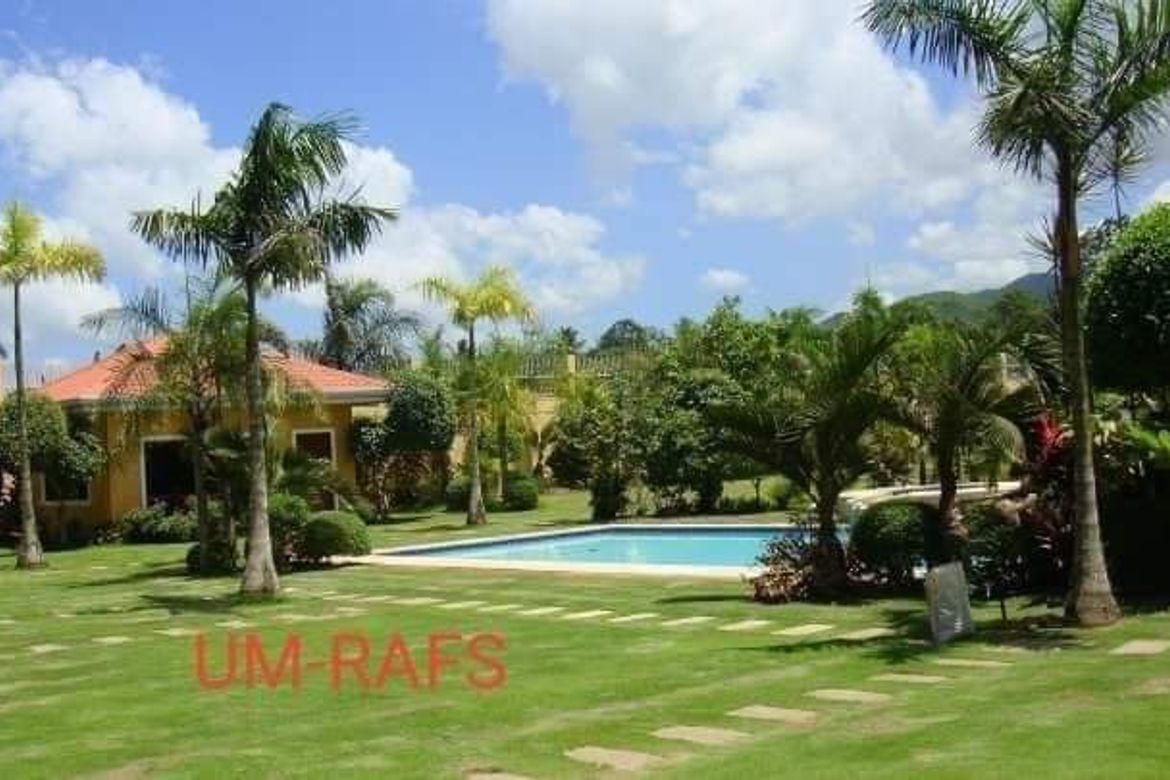 Land for Sale in Arpili, Balamban, Cebu