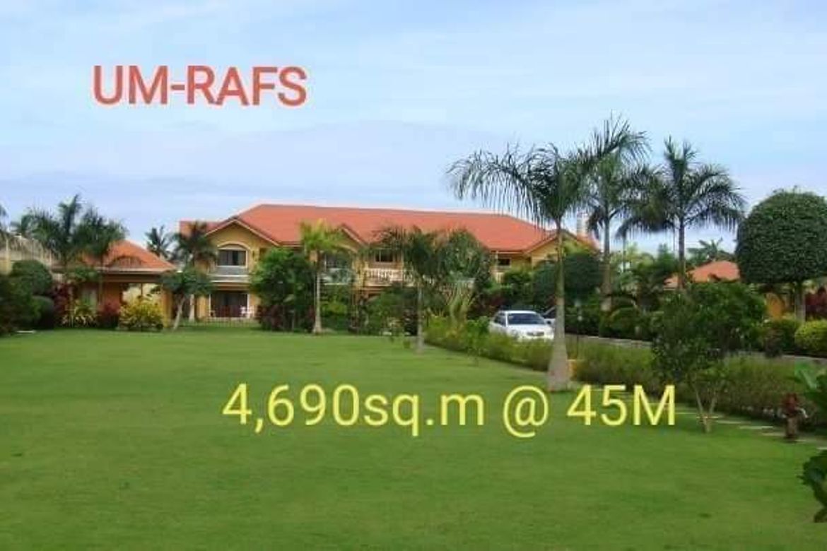Land for Sale in Arpili, Balamban, Cebu – photo 4