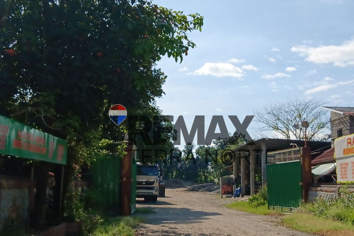 Land for Sale in Aserda, Mapandan, Pangasinan – photo 2
