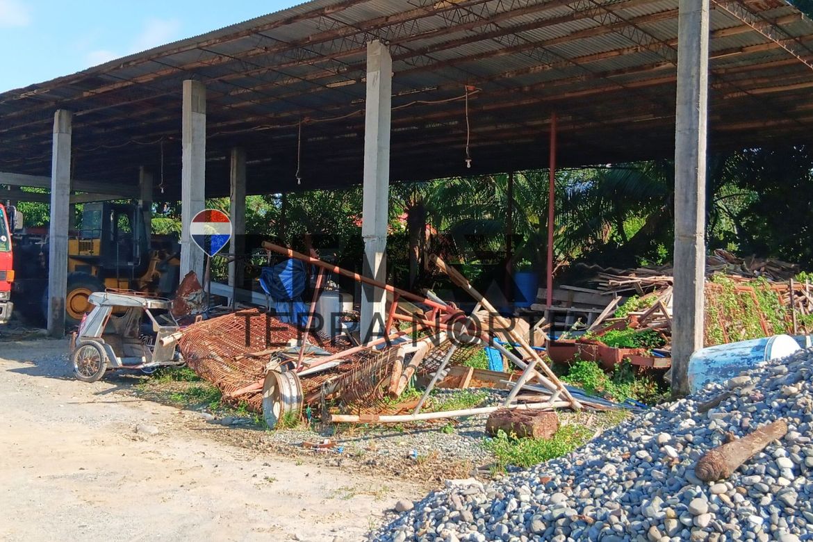 Land for Sale in Aserda, Mapandan, Pangasinan – photo 4