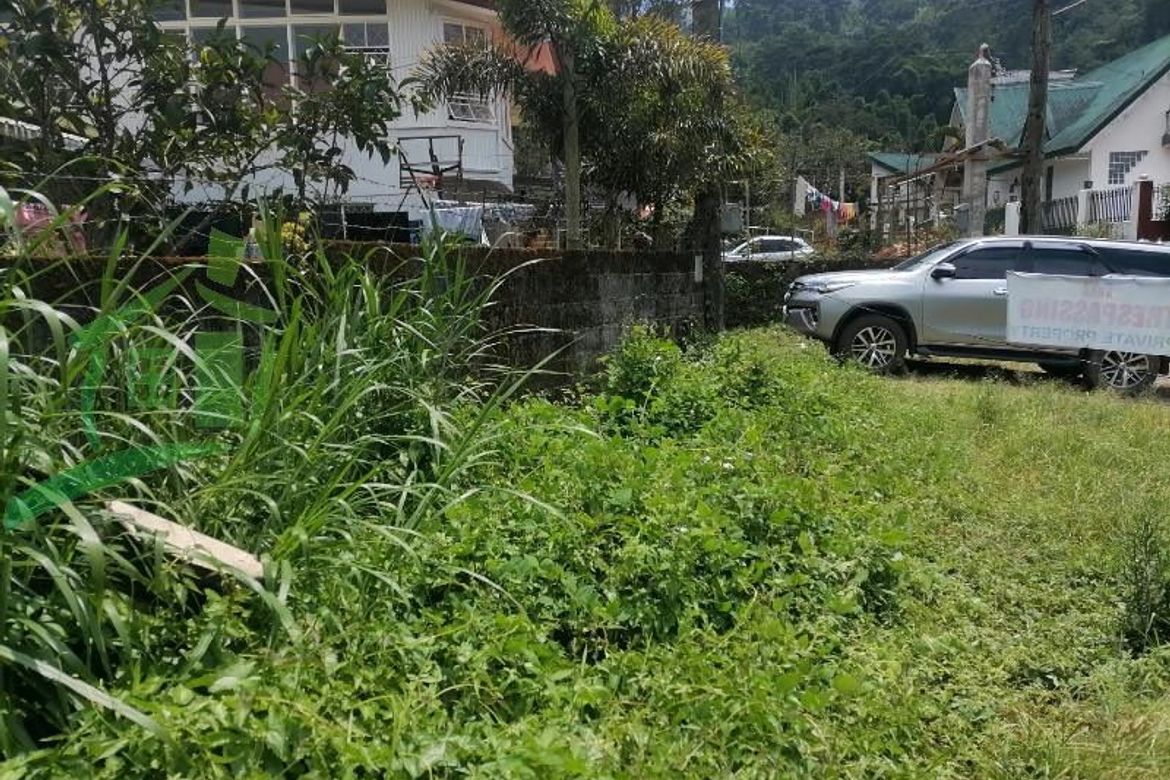 Land for Sale in Asin Road, Baguio, Benguet – photo 2