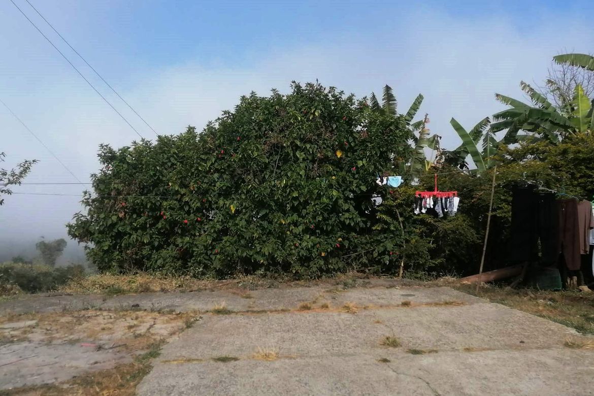 Land for Sale in Asin Road, Baguio, Benguet – photo 5
