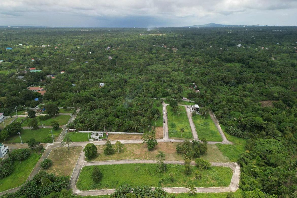 Land for Sale in Asis III, Mendez, Cavite – photo 3