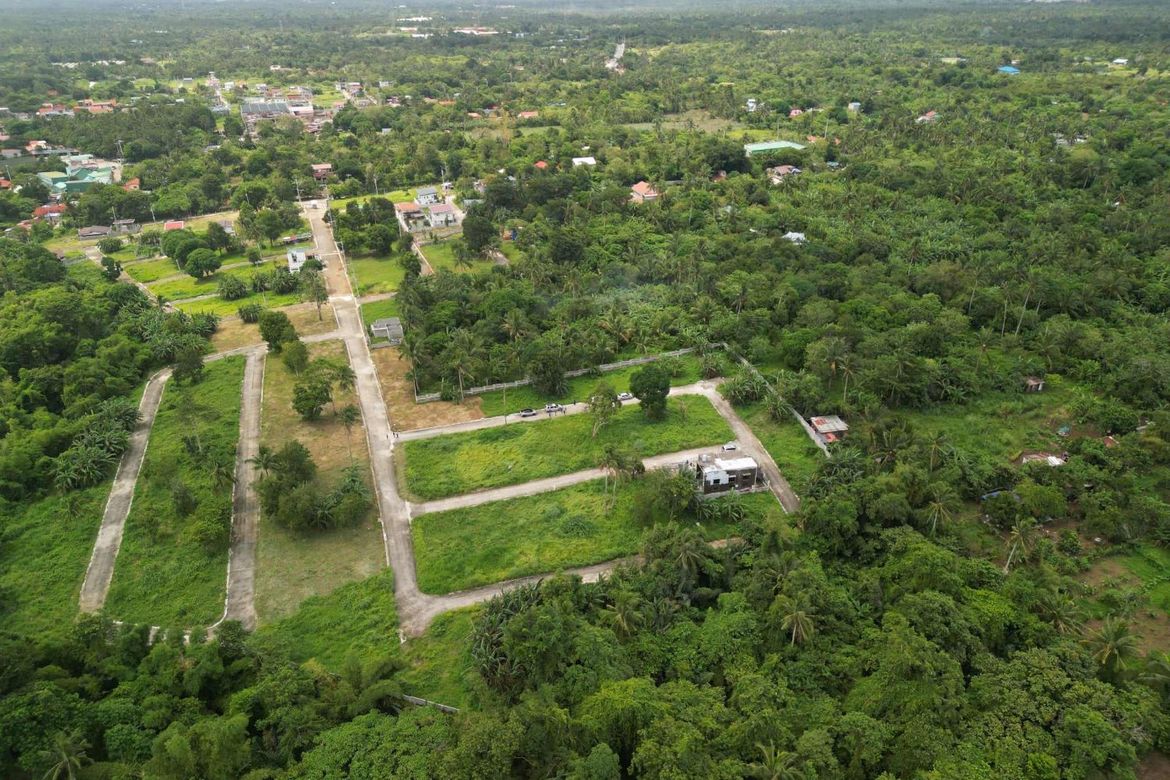 Land for Sale in Asis III, Mendez, Cavite – photo 5