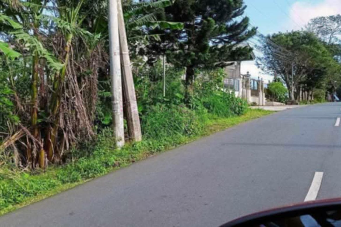Land for Sale in Asisan, Tagaytay, Cavite – photo 2