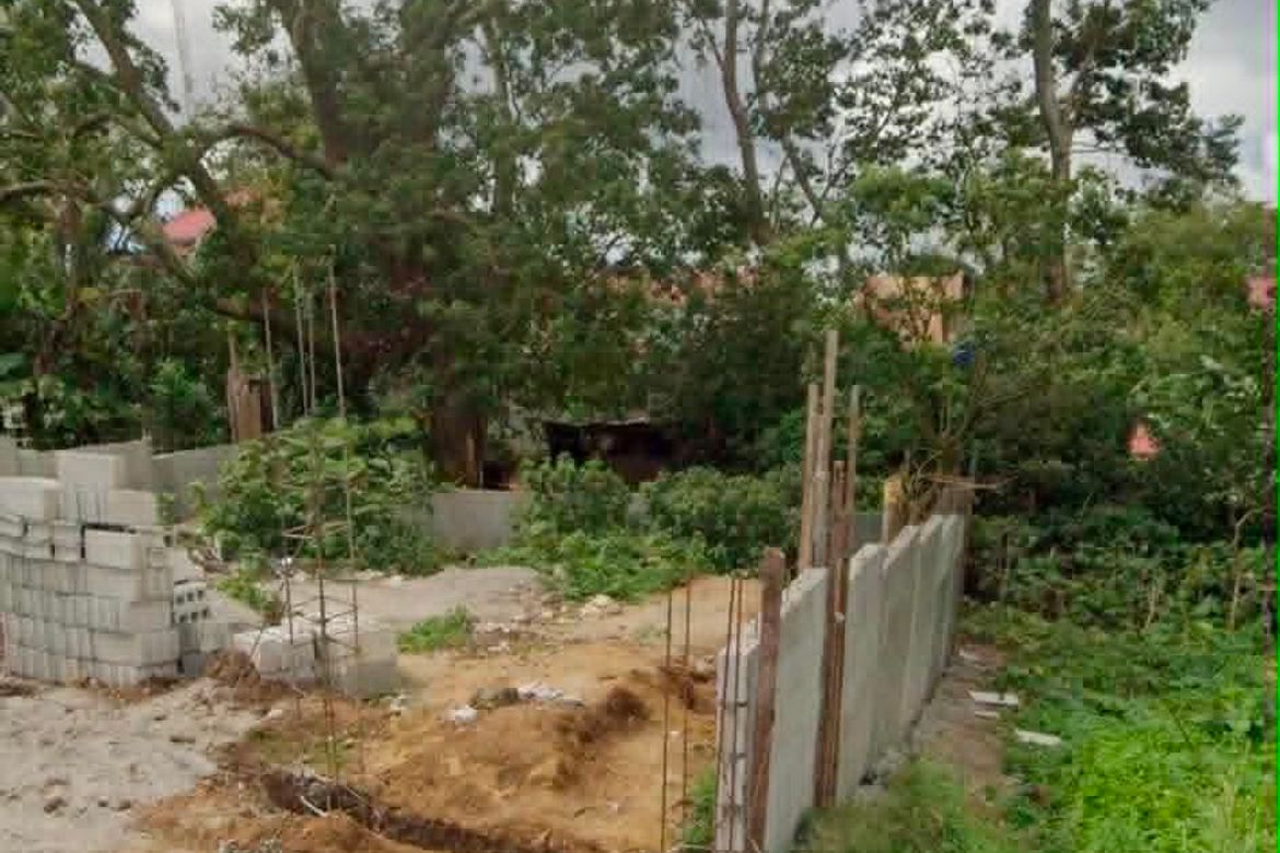 Land for Sale in Asisan, Tagaytay, Cavite – photo 3