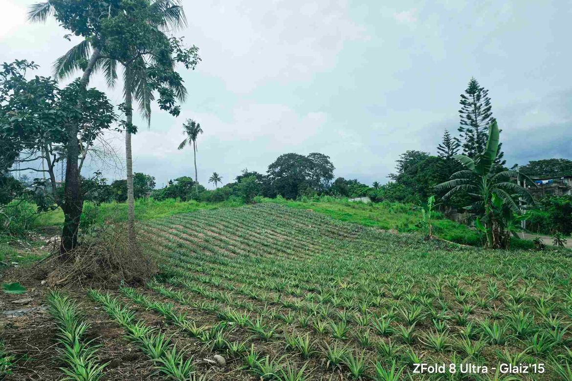 Land for Sale in Asisan, Tagaytay, Cavite