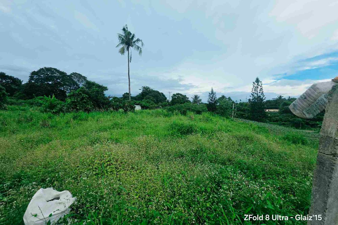 Land for Sale in Asisan, Tagaytay, Cavite – photo 6