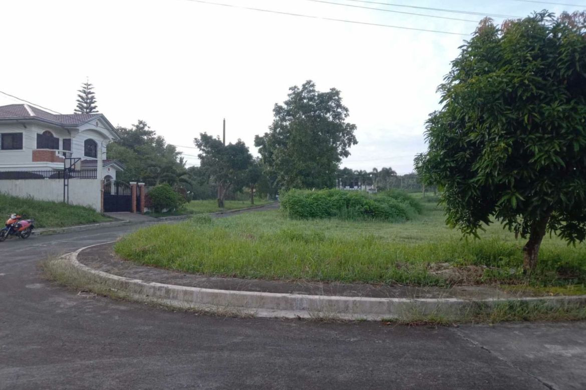Land for Sale in Asisan, Tagaytay, Cavite – photo 4