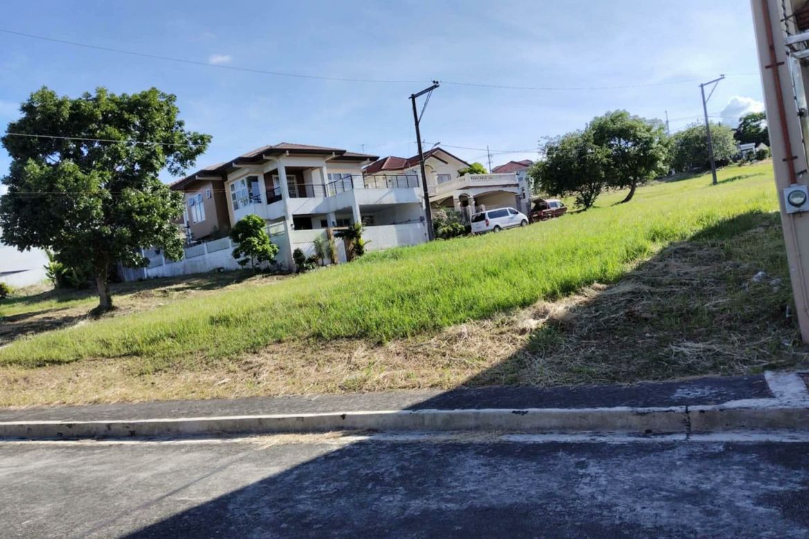 Land for Sale in Asisan, Tagaytay, Cavite – photo 2