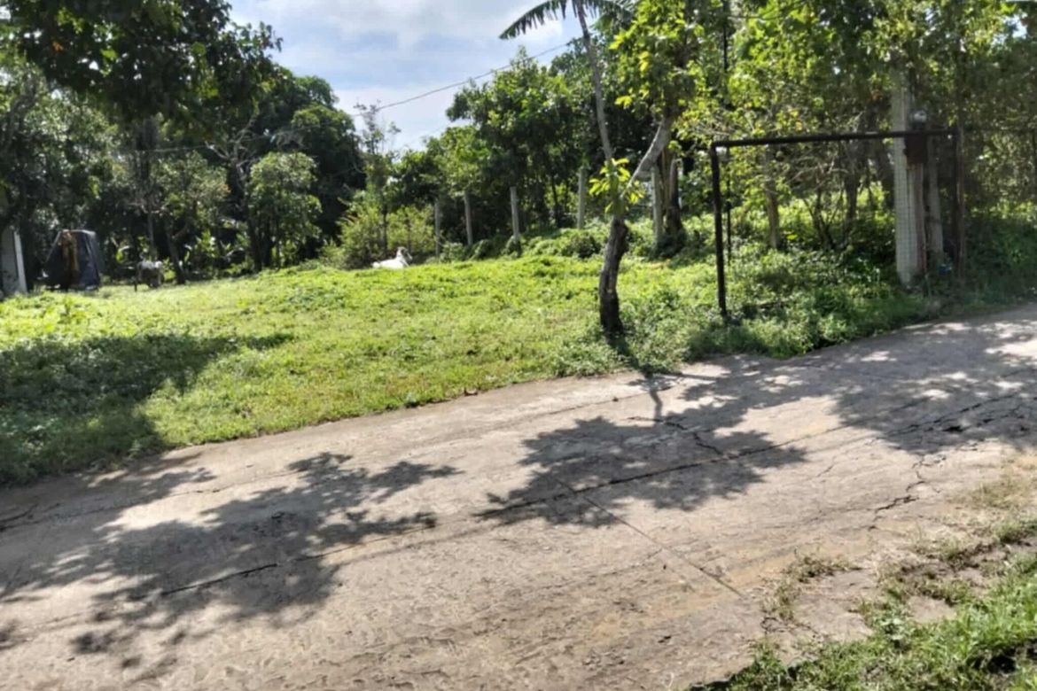 Land for Sale in Asisan, Tagaytay, Cavite