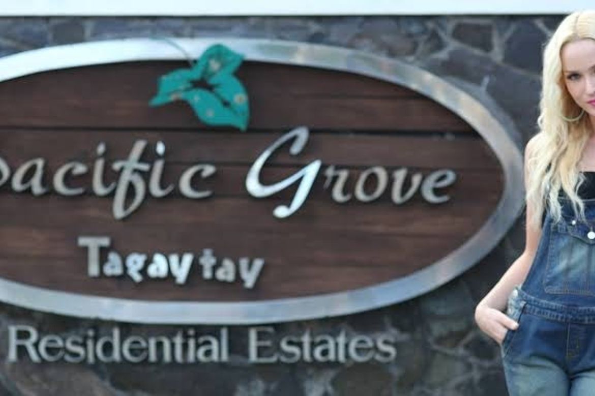 Land for Sale in Asisan, Tagaytay, Cavite – photo 3